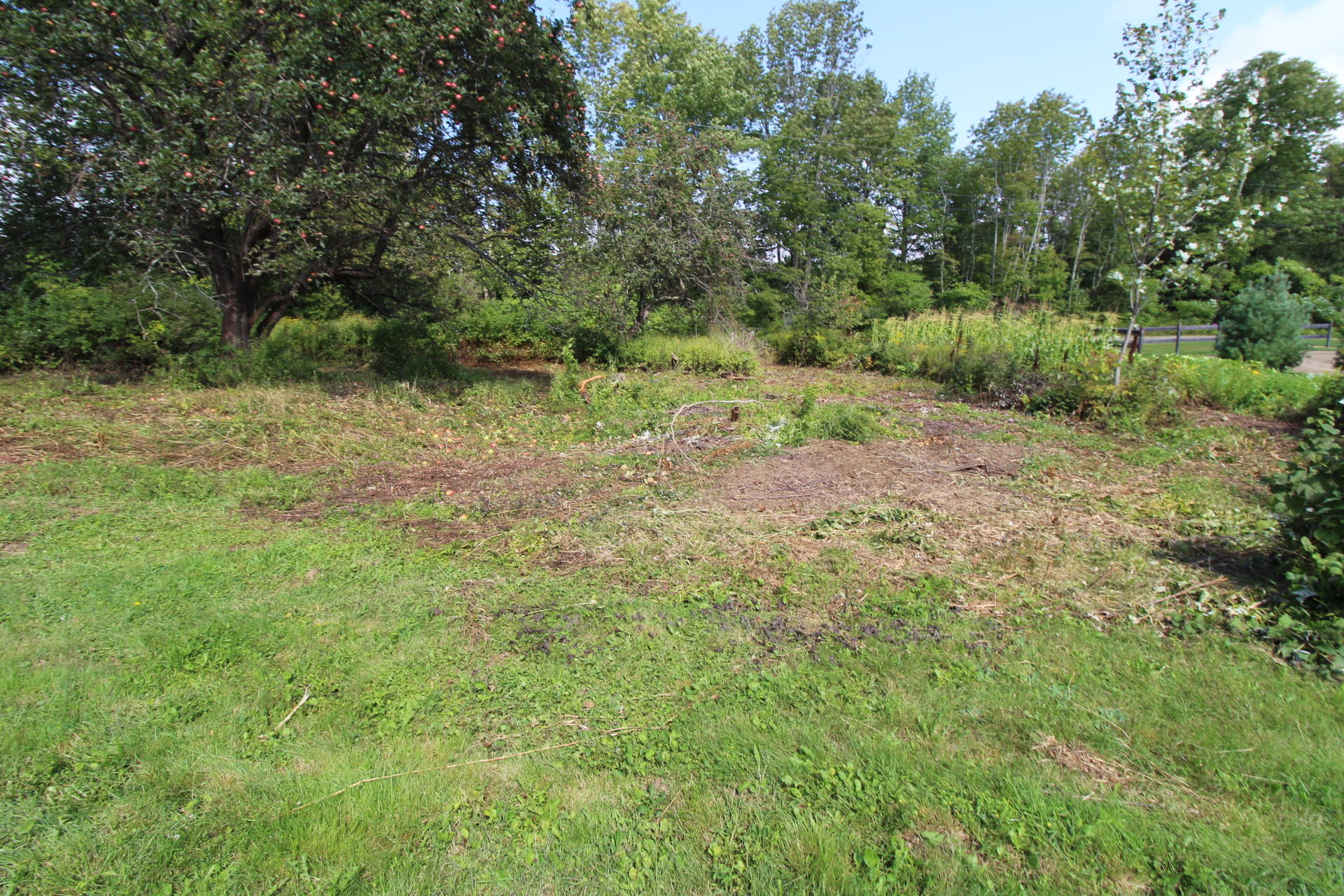 13 Pitcher Road Belfast, ME 04915 - Photo 55 of 64 Burgess Pitcher Road (111)