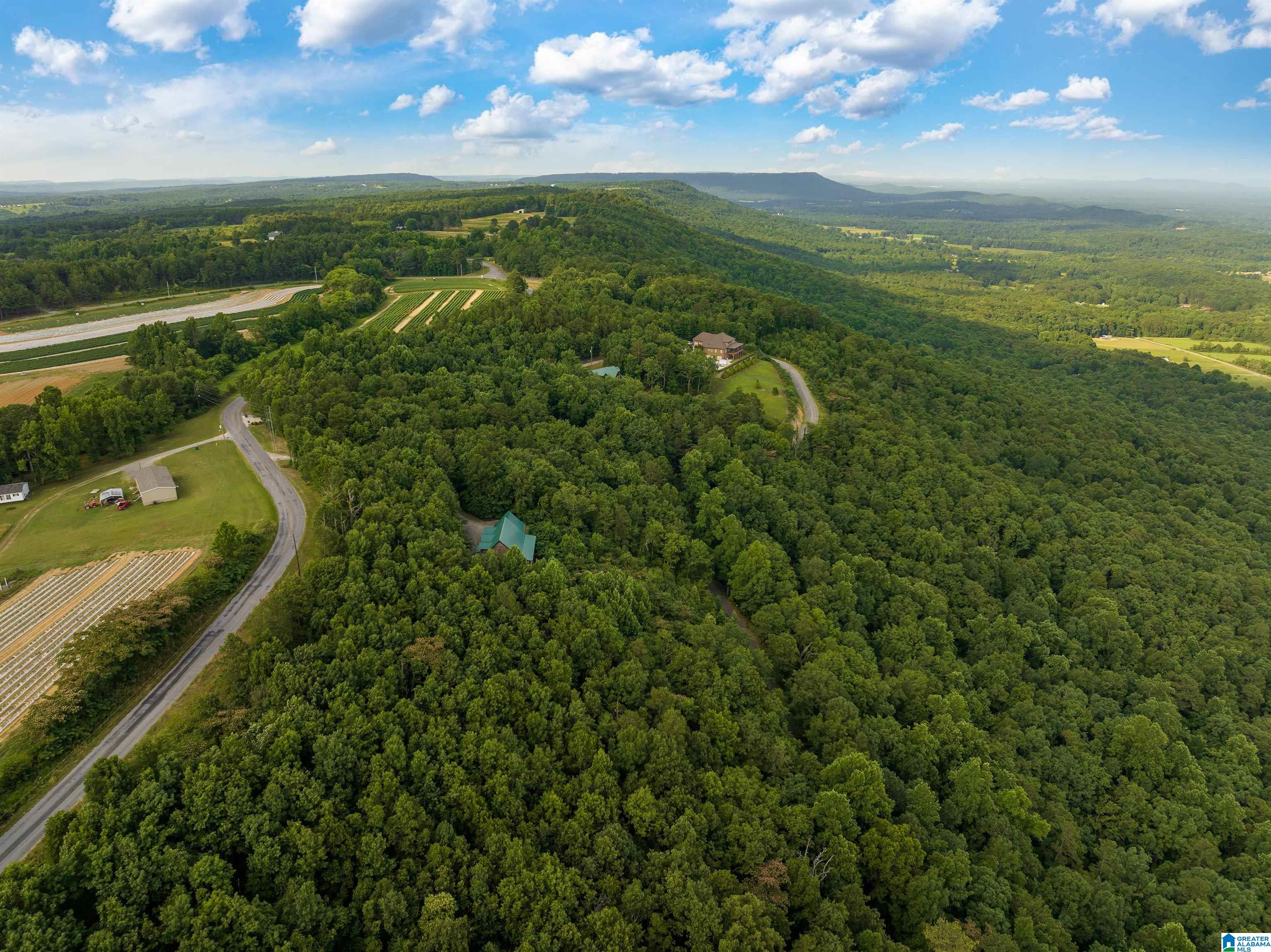5924 Co Highway 24 Springville, AL 35146 - Photo 37 of 50