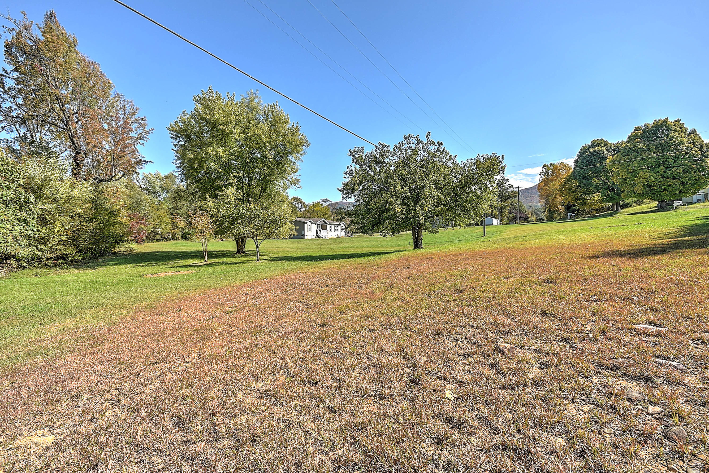 955 South Water Fork Road Greeneville, TN 37743 - Photo 28 of 31 Huge yard!