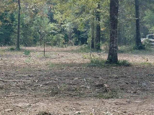 $85,000 | 22912 Hwy 40 Highway, Bush, LA 70431