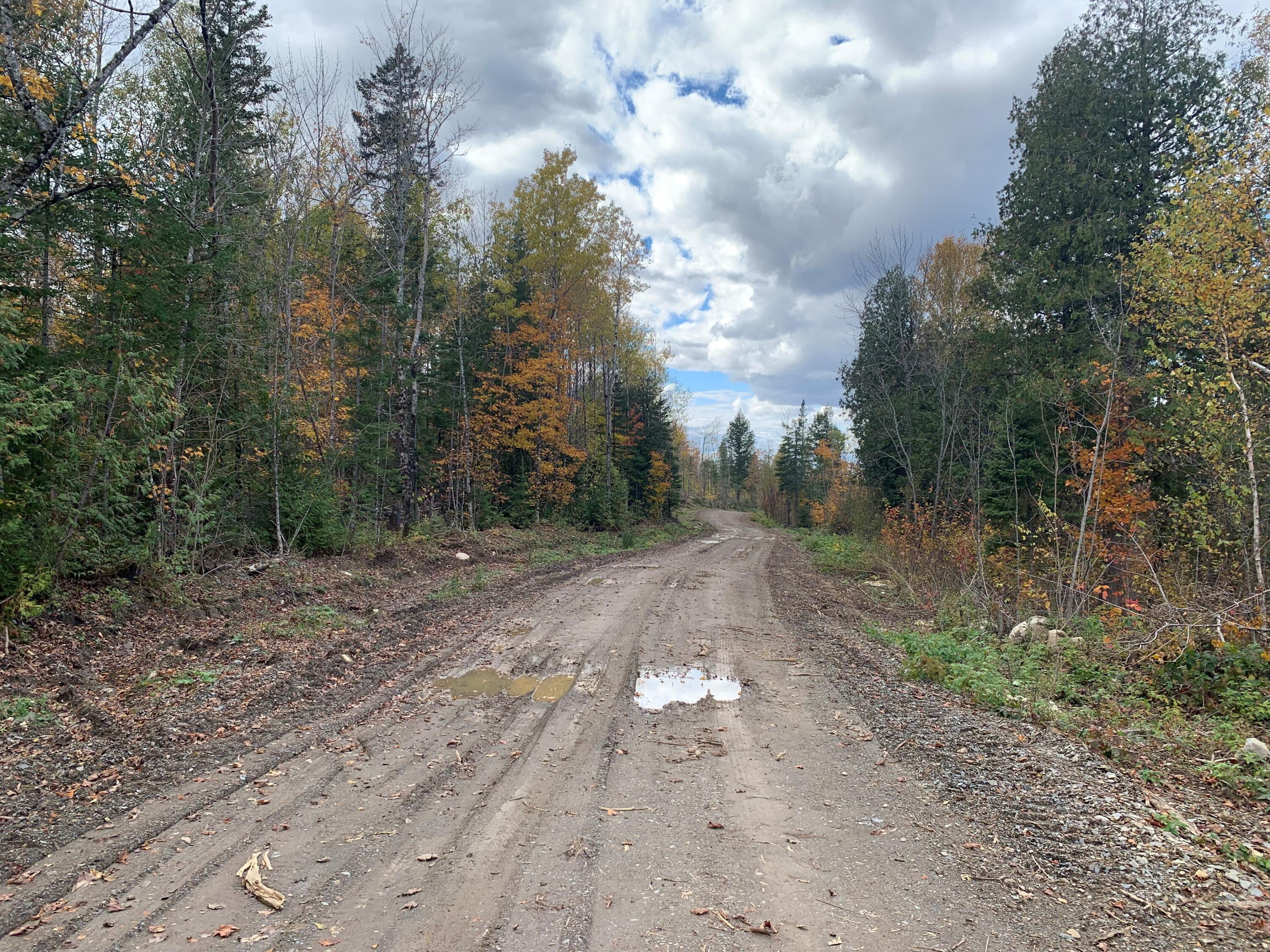 0 Sheepskin Road Carroll Plt, ME 04487 - Photo 14 of 17 MLS14