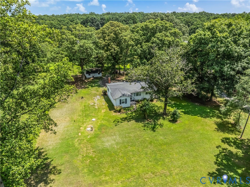 3179 Sandy Hook Road Sandy Hook, VA 23153 - Photo 6 of 36 a view of a big yard with large trees