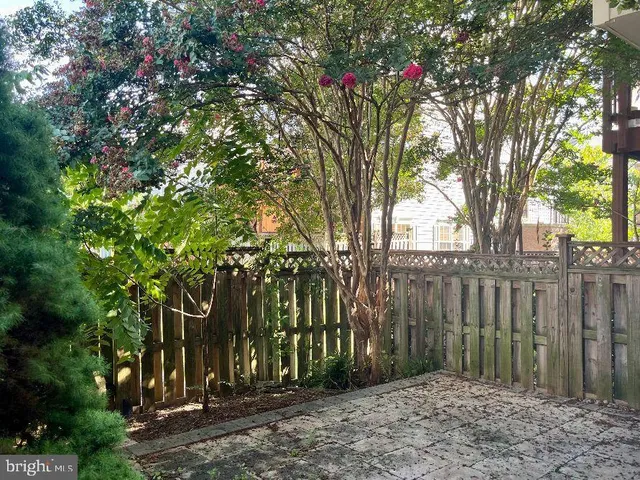 a backyard of a house with lots of trees
