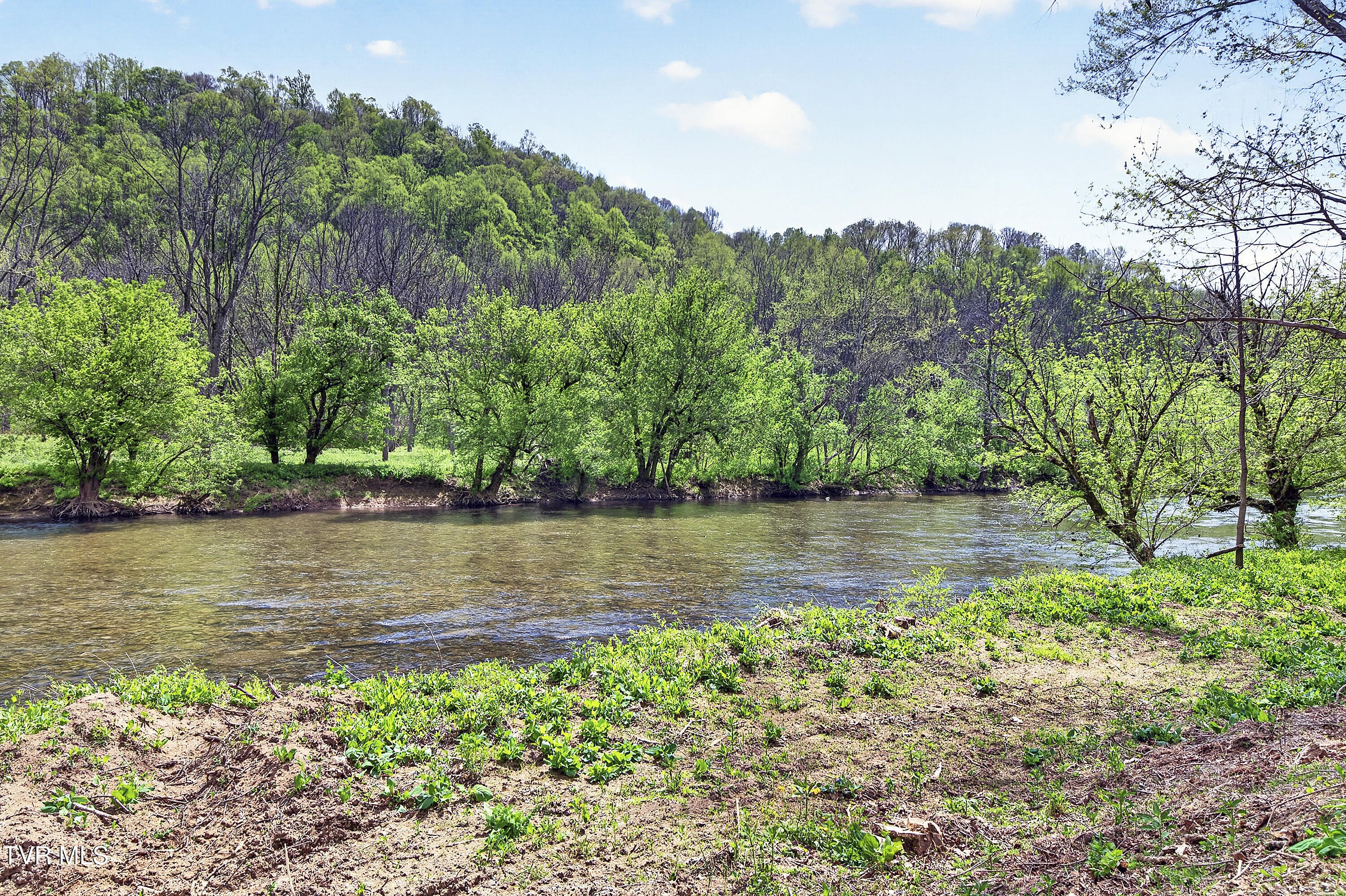 24327 North Fork River Road Abingdon, VA 24210 - Photo 2 of 81 RIVERSIDE