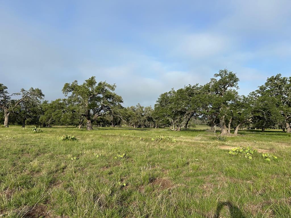 3068 South Ranch Road 783 Harper, TX 78631 - Photo 10 of 22 Gallery Image 10