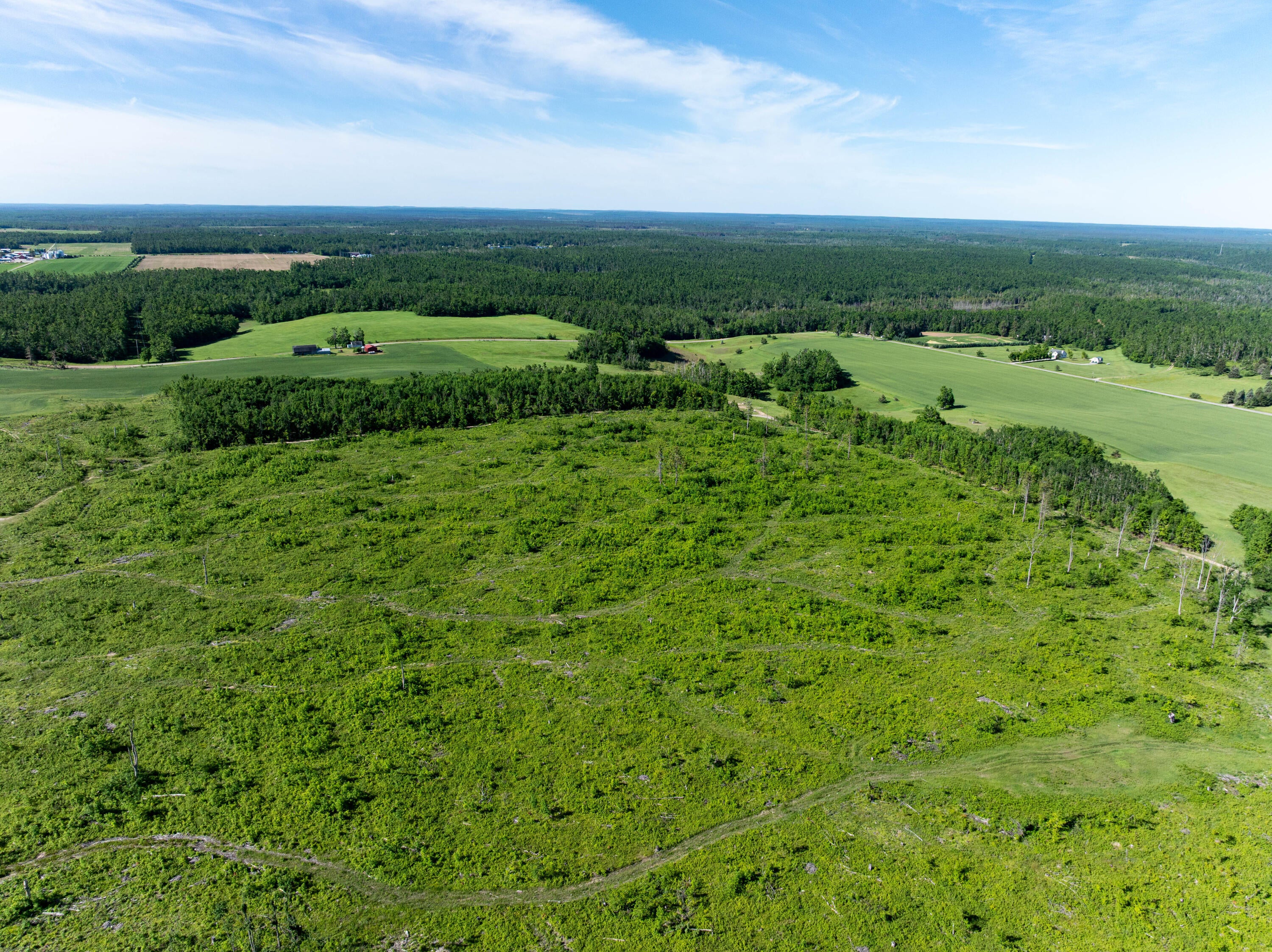 40-ac Waters Road Johannesburg, MI 49751 - Photo 4 of 11 Gallery Image 4
