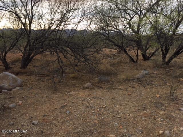 1886 Circulo Mexicali, Unit 161 Rio Rico, AZ 85648 - Photo 5 of 5