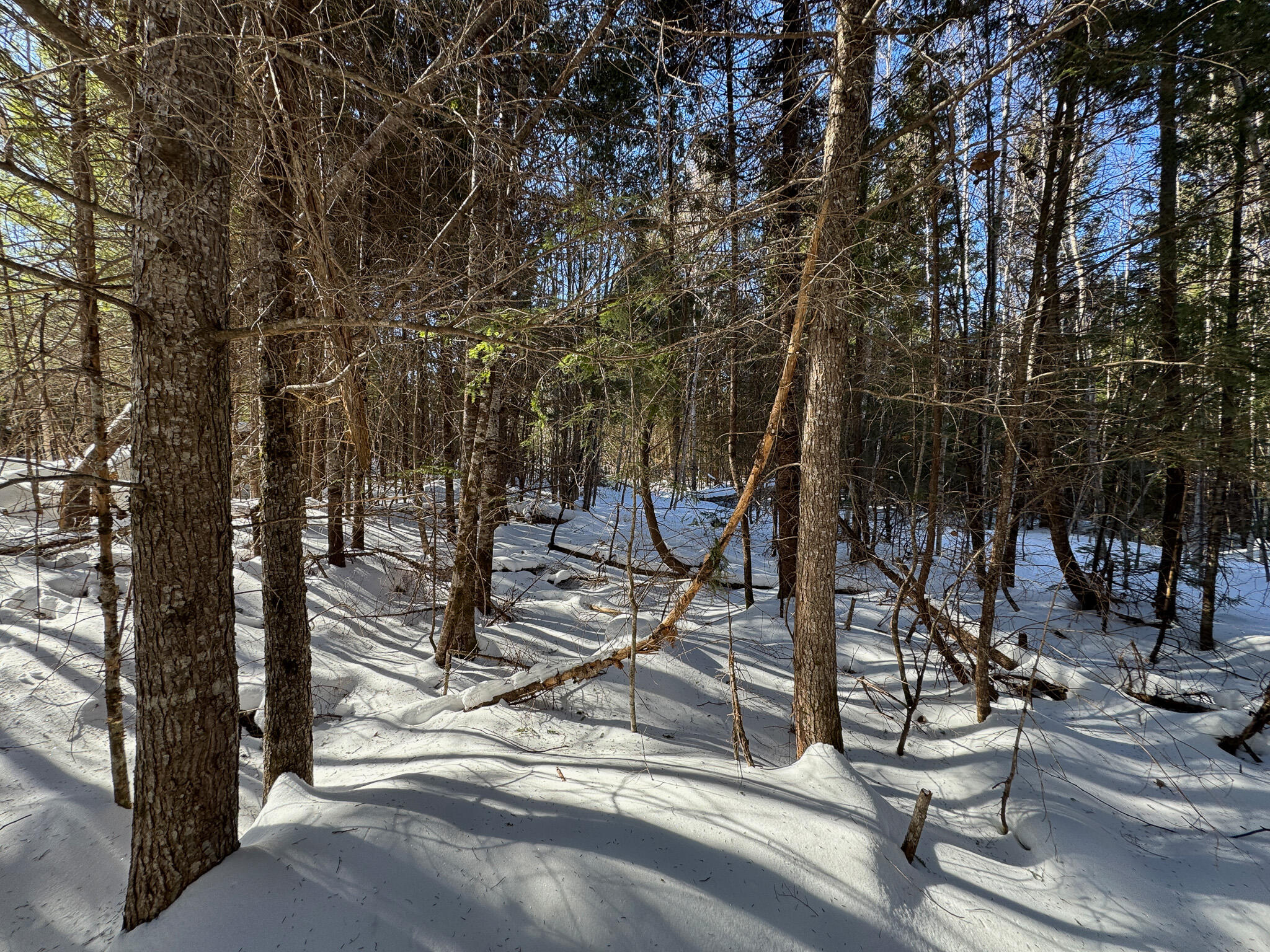 M5-l26 Clark Road Burlington, ME 04417 - Photo 26 of 26 IMG_1134