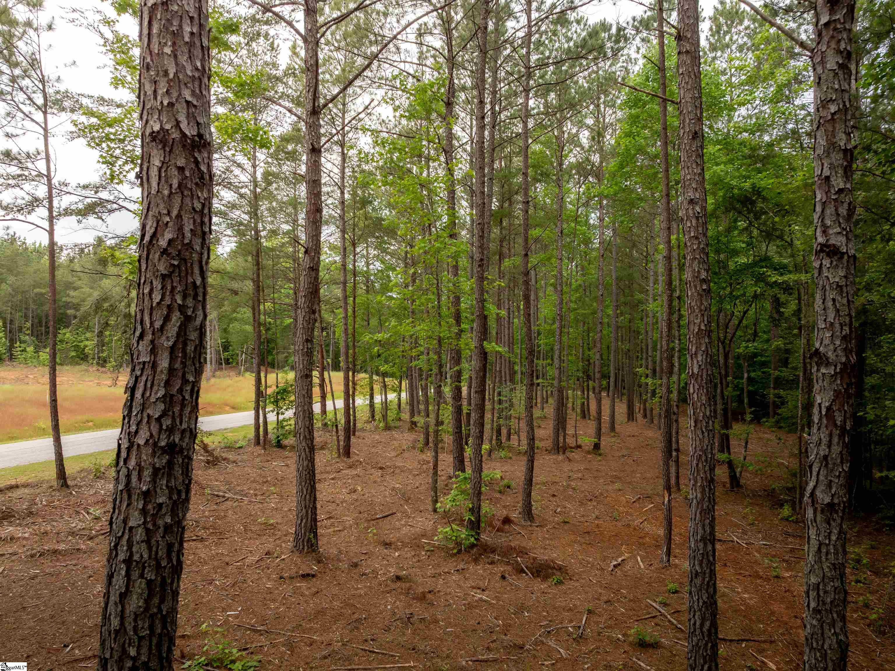 0 Elford Grove Road, Unit TRACT 4 Jonesville, SC 29353 - Photo 10 of 23 Gallery Image 10