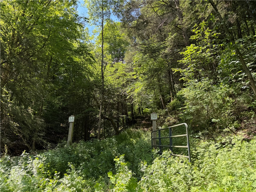 Vl Catatunk Road, Unit R Canisteo, NY 14823 - Photo 10 of 50