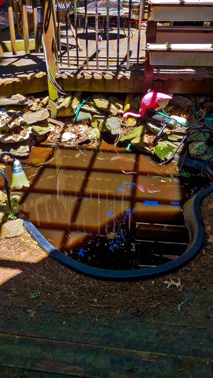 498 Middlesex Turnpike Billerica, MA 01821 - Photo 18 of 21 a vase of flowers sitting on a table
