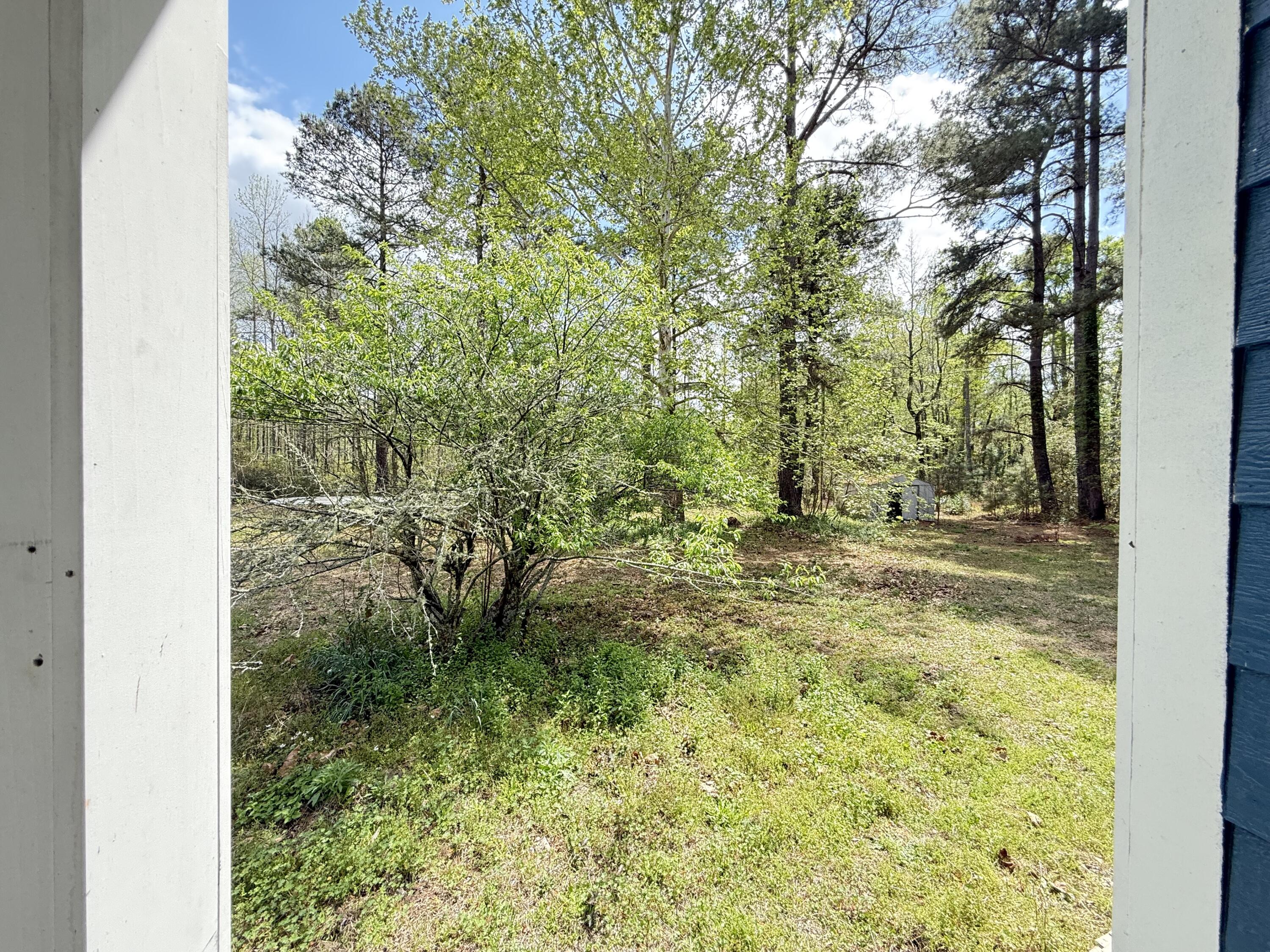 285 Koger Drive Reevesville, SC 29471 - Photo 4 of 22 IMG_8169