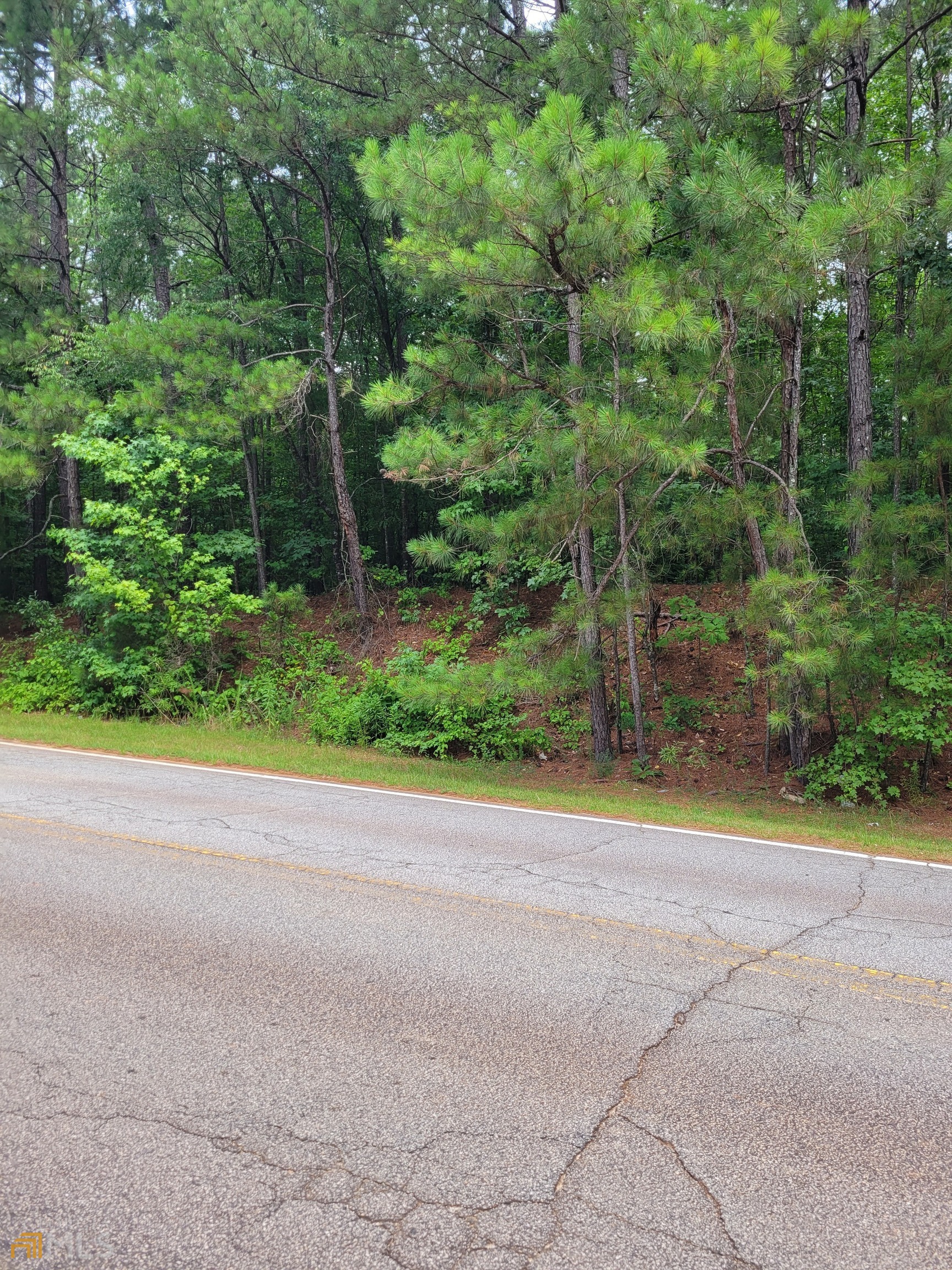0 White Mill Road Fairburn, GA 30213 - Photo 2 of 2 a view of a road with a yard