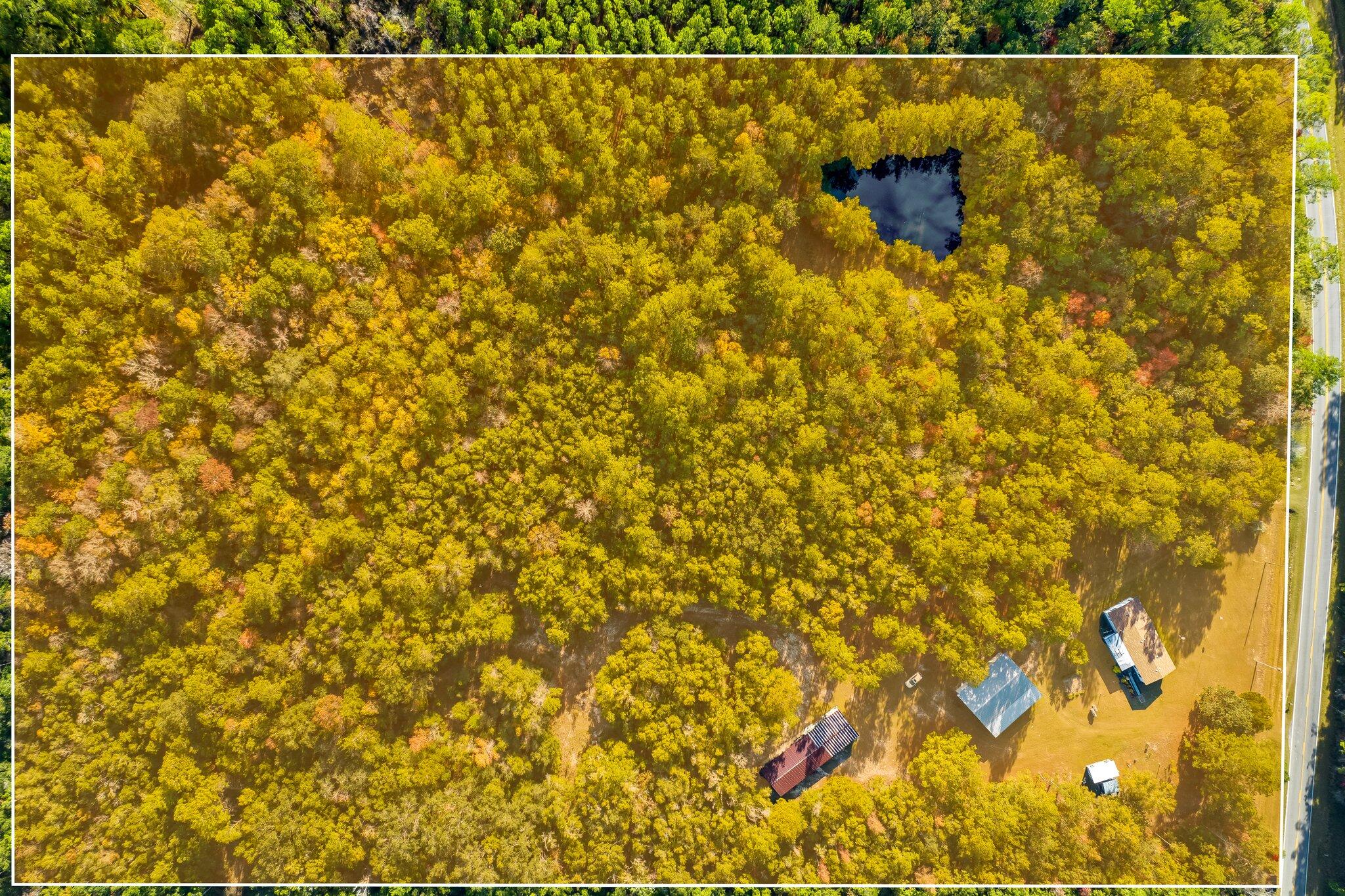 4281 Shell Landing Road Vernon, FL 32462 - Photo 2 of 55 44-web-or-mls-4281-shell-landing-rd