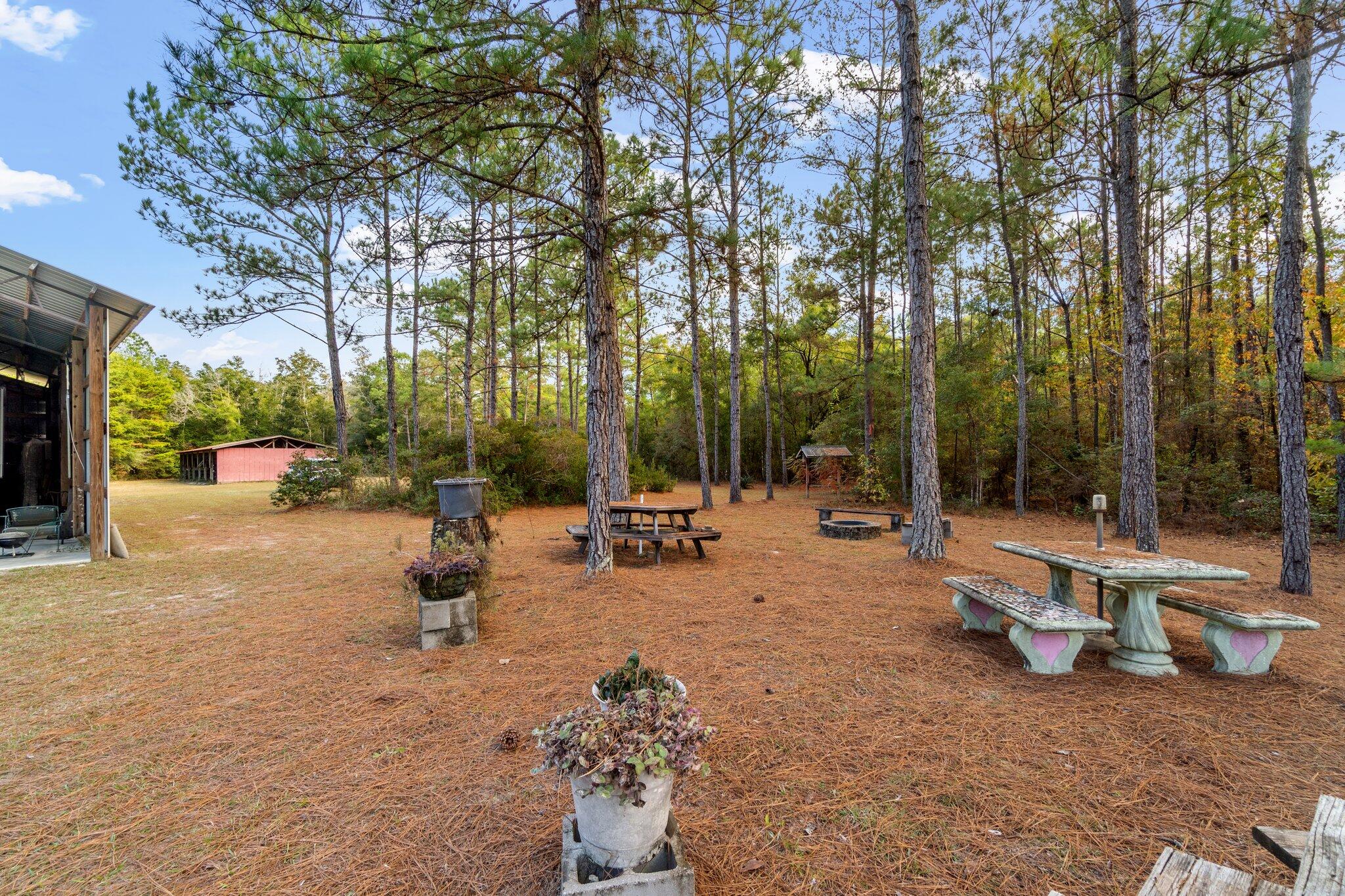 4281 Shell Landing Road Vernon, FL 32462 - Photo 36 of 55 a view of a patio with a chairs and tables in the patio