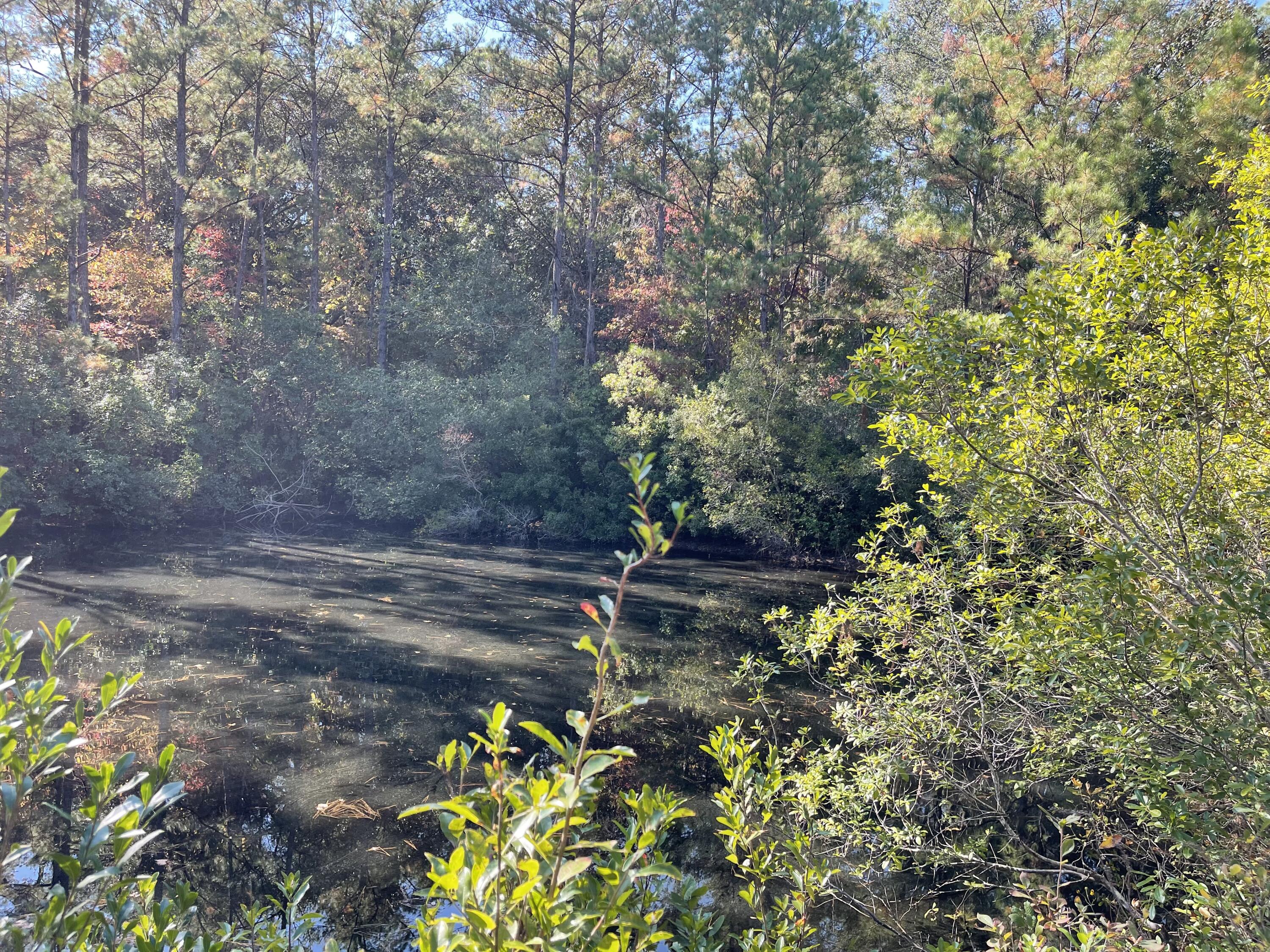 4281 Shell Landing Road Vernon, FL 32462 - Photo 51 of 55 a backyard of a house with lots of green space