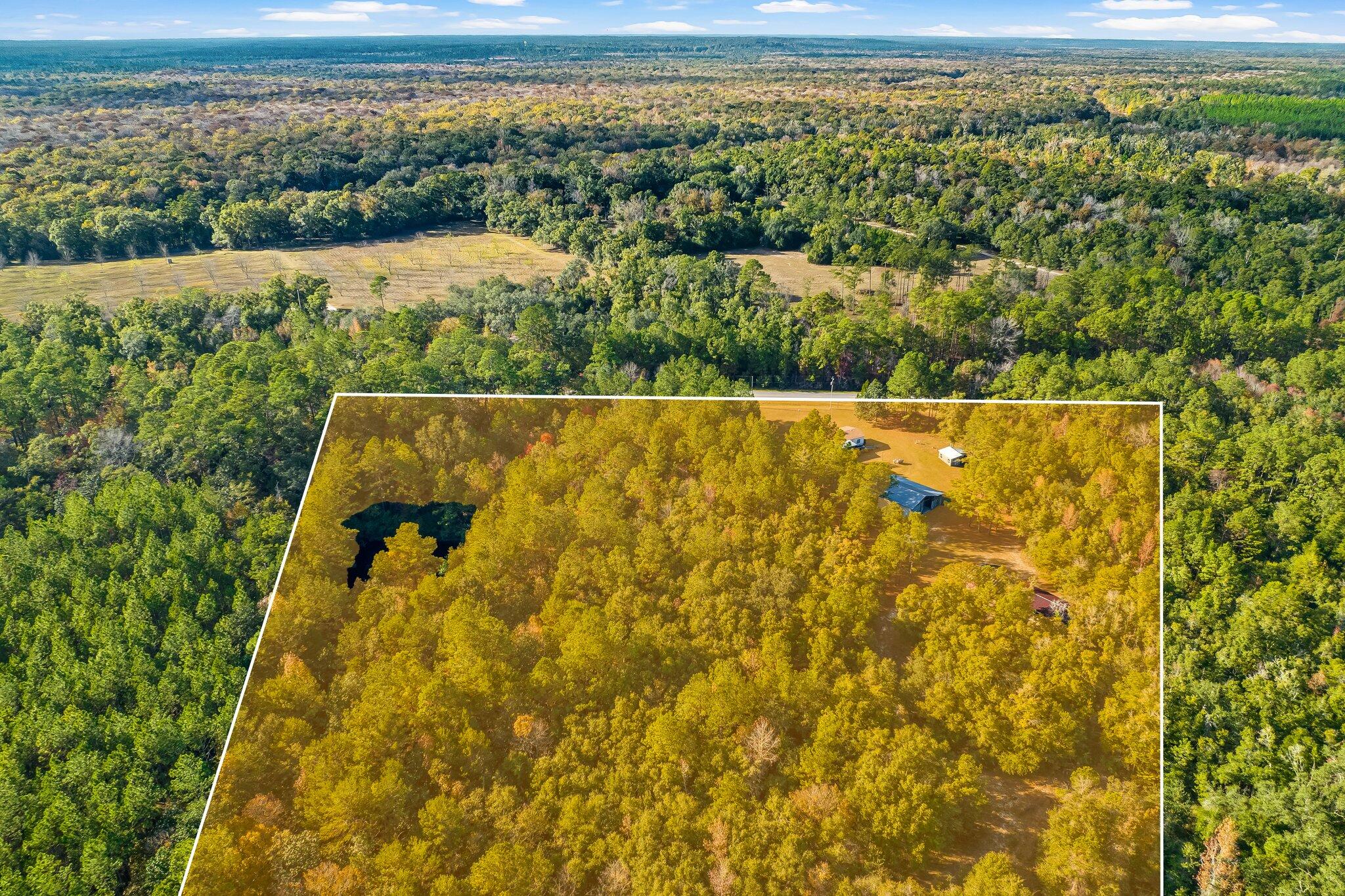 4281 Shell Landing Road Vernon, FL 32462 - Photo 55 of 55 a view of a swimming pool and trees in the background