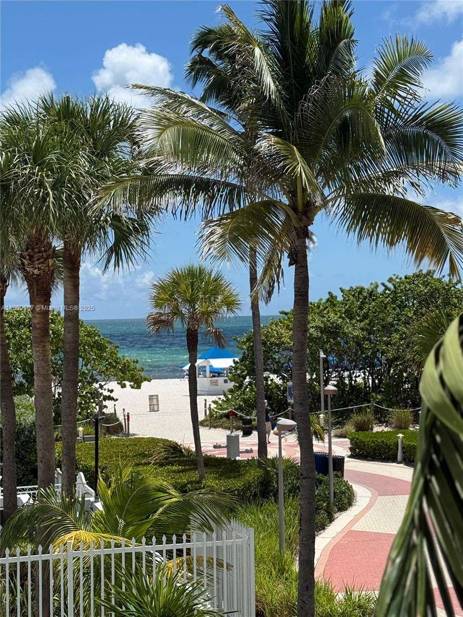 4301 Collins Avenue, Unit 207 Miami Beach, FL 33140 - Photo 27 of 34 a view of a garden with palm trees