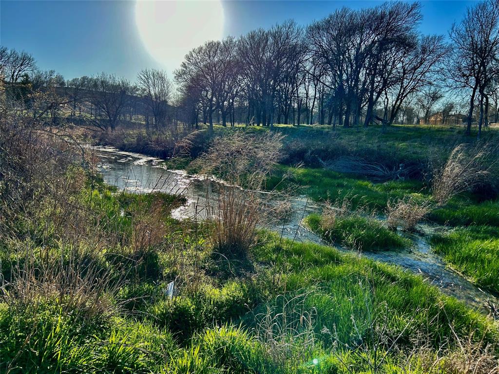 1000 Bear Creek Ranch Road Aledo, TX 76008 - Photo 6 of 12 a view of backyard