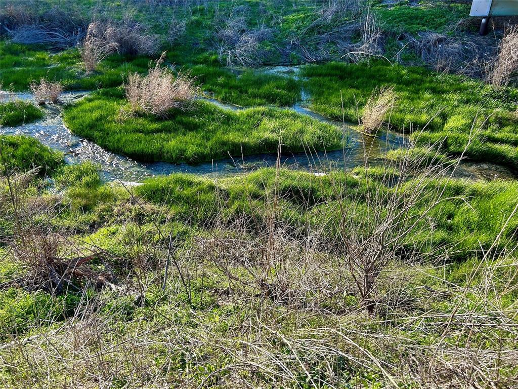 1000 Bear Creek Ranch Road Aledo, TX 76008 - Photo 8 of 12 a view of a garden with a lake