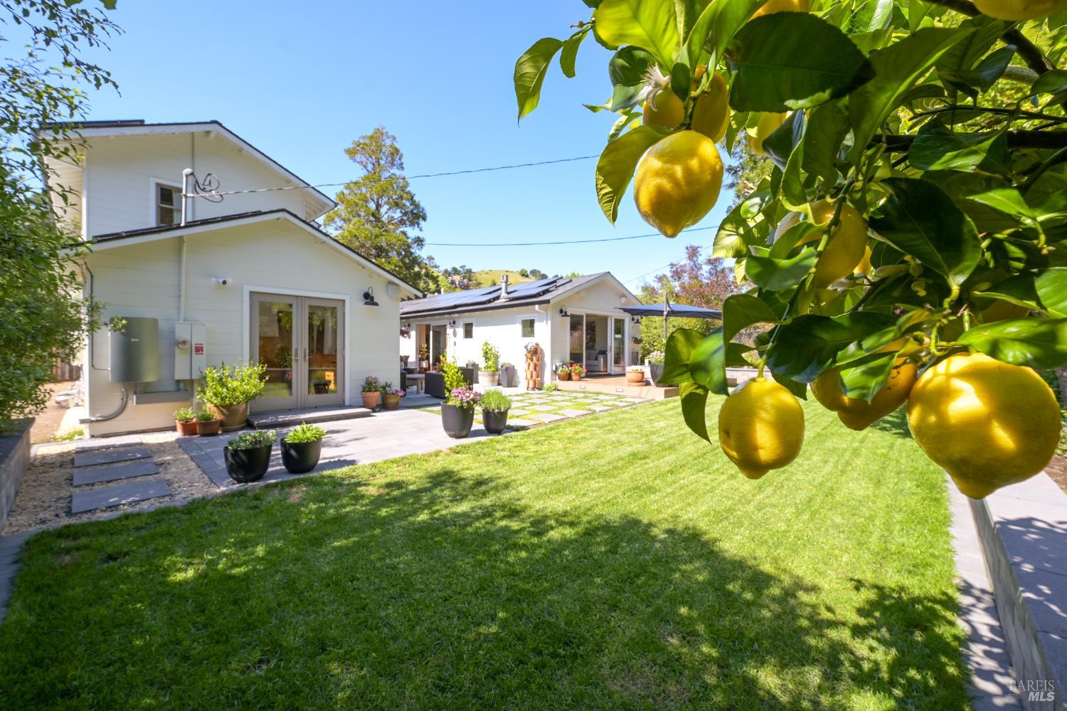 305 Ricardo Road Mill Valley, CA 94941 - Photo 45 of 57