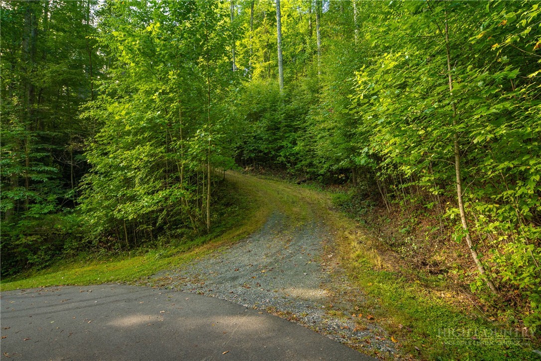 Wasatch Drive Boone, NC 28607 - Photo 16 of 33 Gallery Image 16