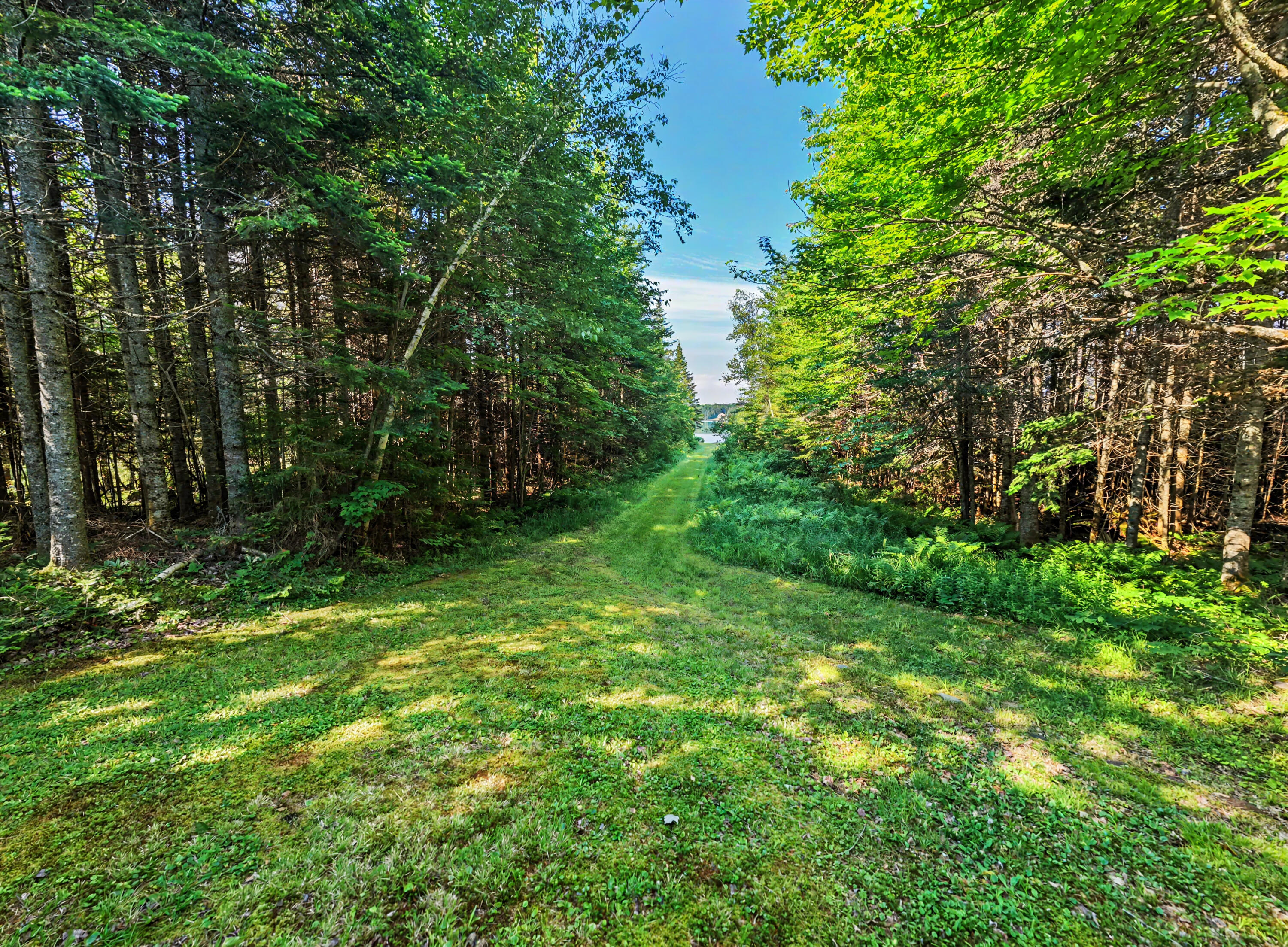 84 Indian Lake Road Owls Head, NY 12969 - Photo 32 of 41