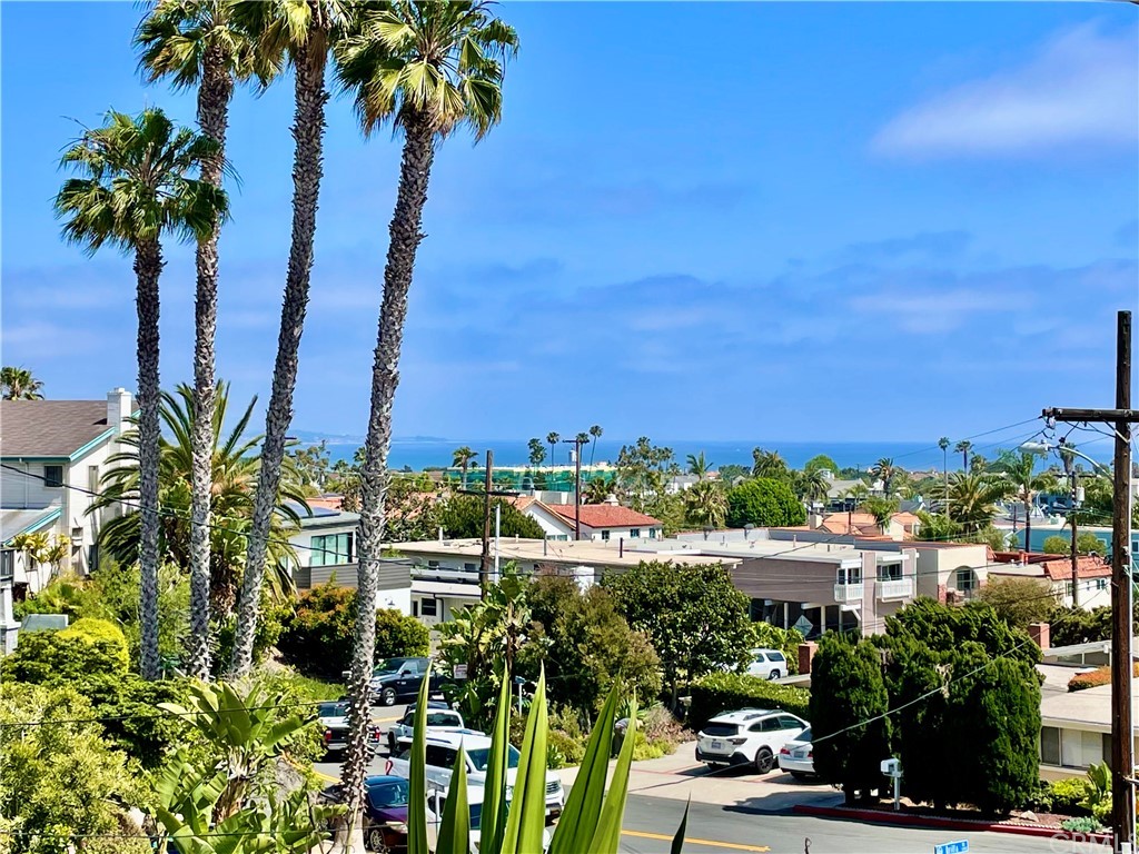 a view of a palm tree with flower plants in front of building