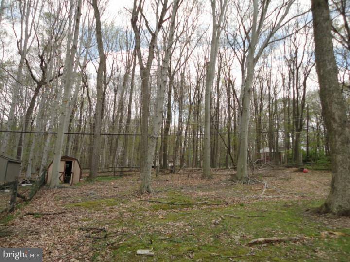 2015 Richard Road Willow Grove, PA 19090 - Photo 22 of 25 Back Yard