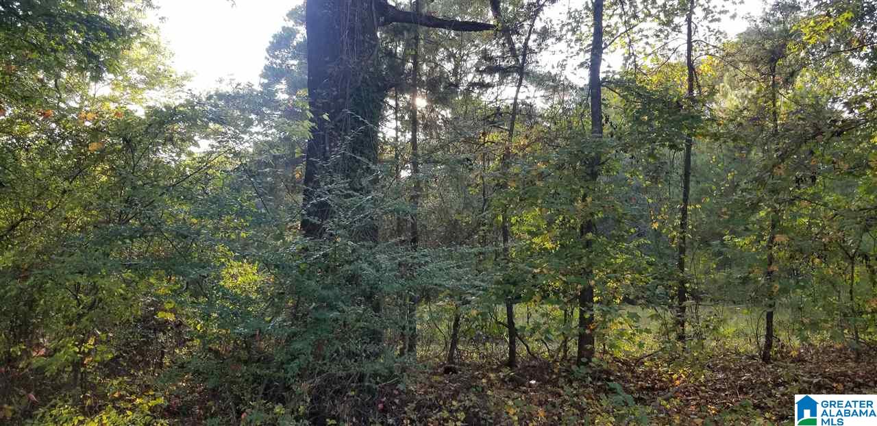 7332 Bethel Road, Unit 1 008 Dora, AL 35062 - Photo 3 of 5 Gallery Image 3