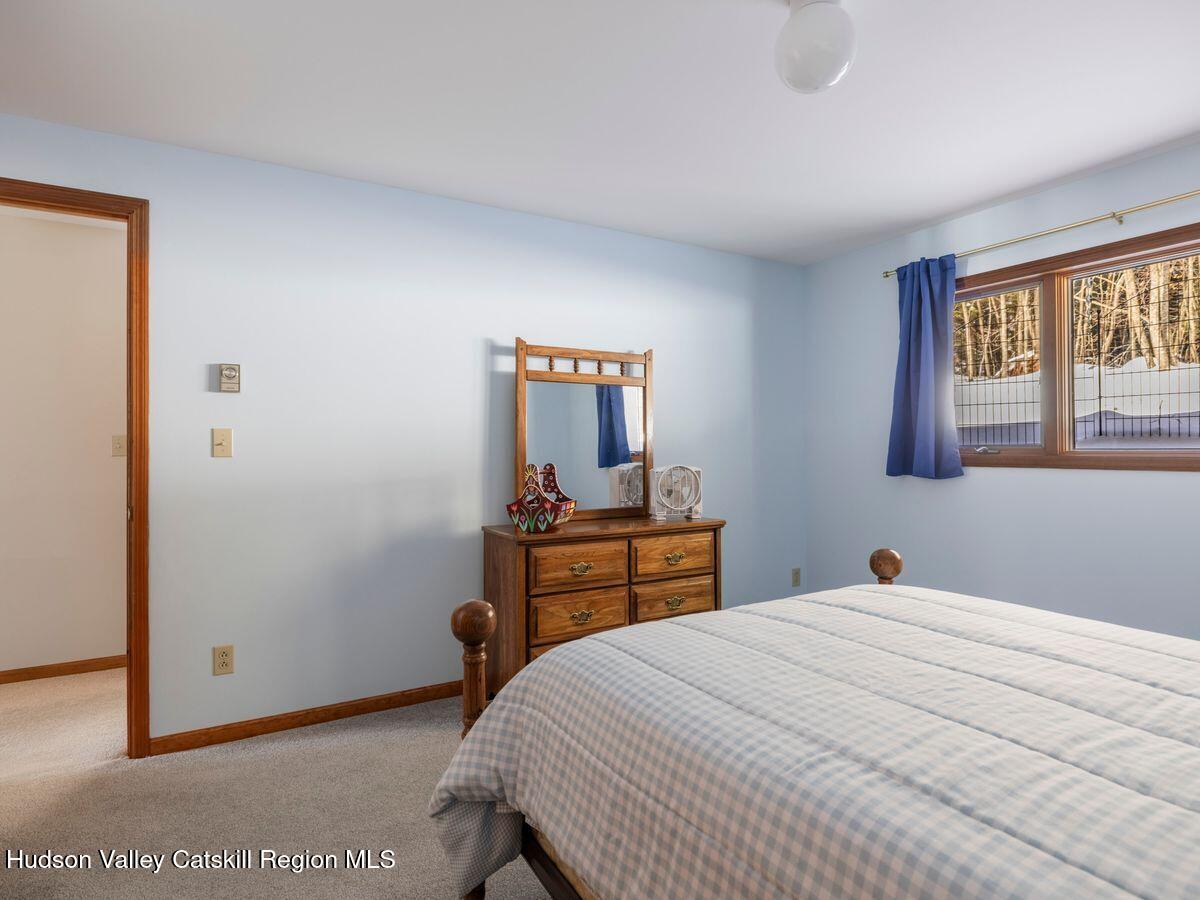 114 Conifer Lake Road West Jewett, NY 12444 - Photo 24 of 41 photo_online_029