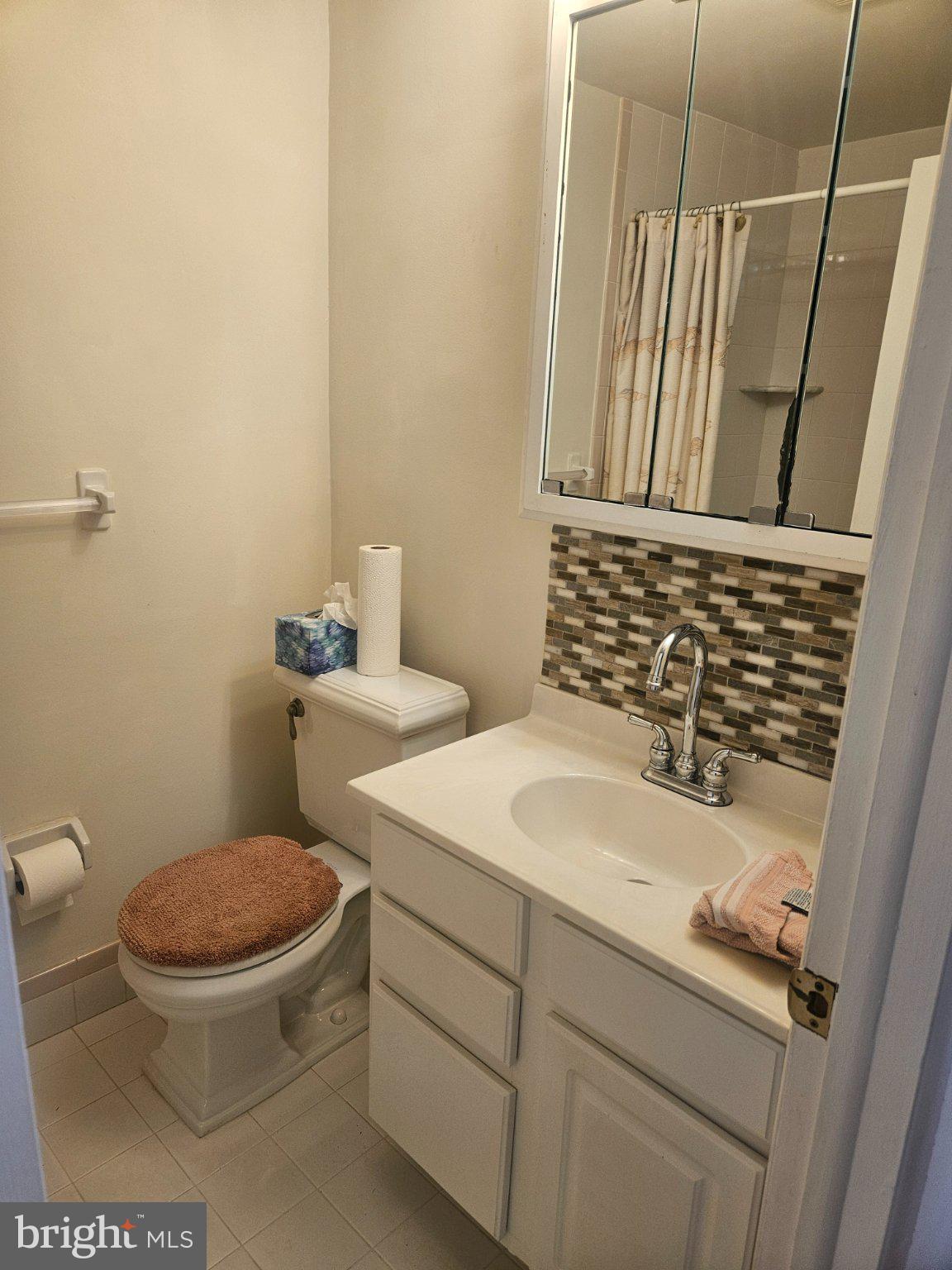 107 Rutgers Avenue, Unit F2 Swarthmore, PA 19081 - Photo 12 of 16 Bathroom
