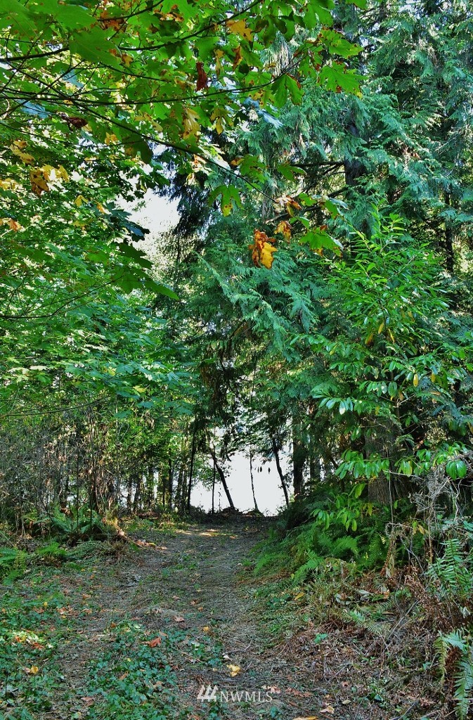 6807 Clover Valley Road Southeast Port Orchard, WA 98367 - Photo 15 of 16 Gallery Image 15