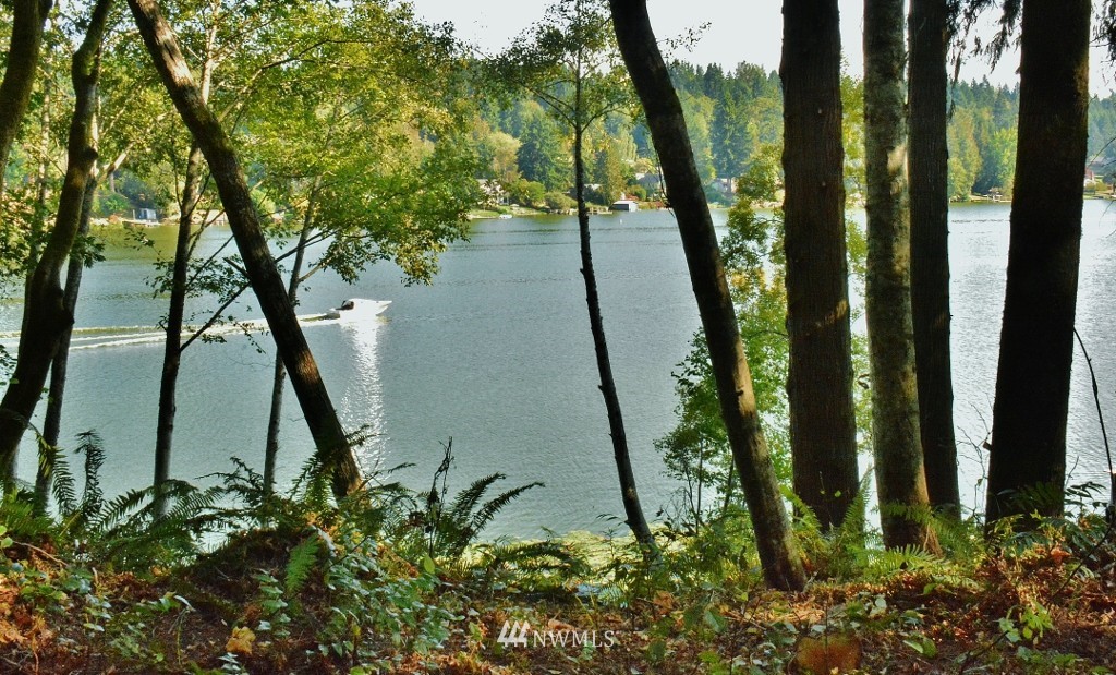 6807 Clover Valley Road Southeast Port Orchard, WA 98367 - Photo 3 of 16 Gallery Image 3