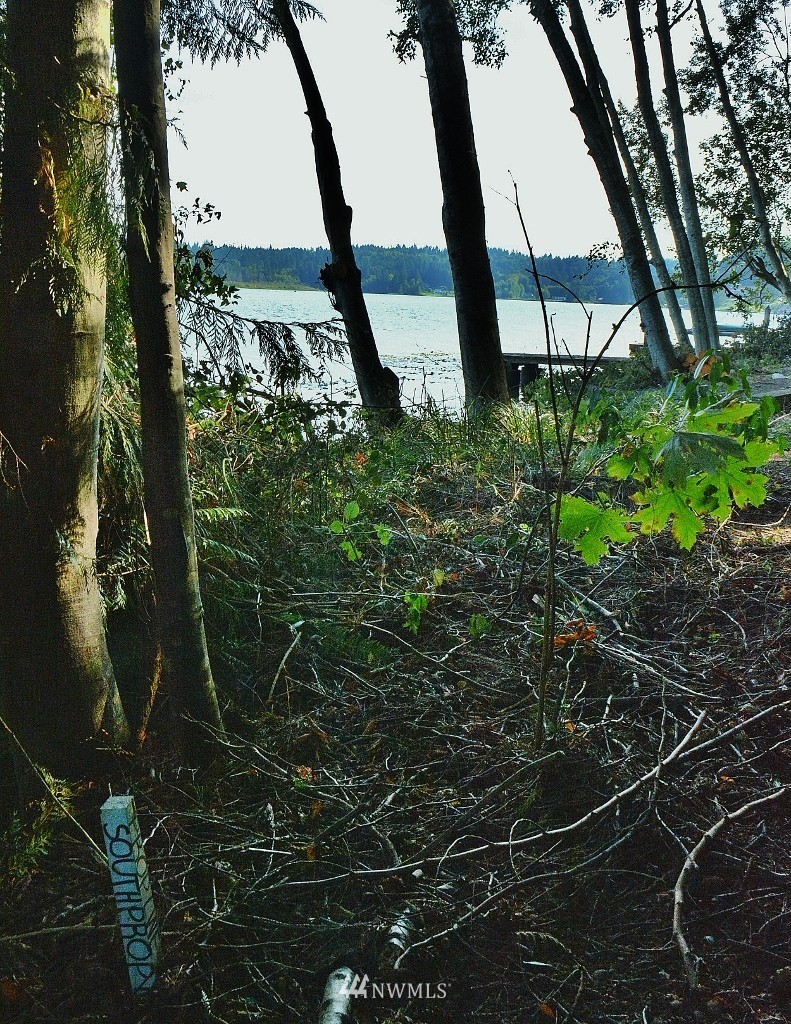 6807 Clover Valley Road Southeast Port Orchard, WA 98367 - Photo 8 of 16 Gallery Image 8