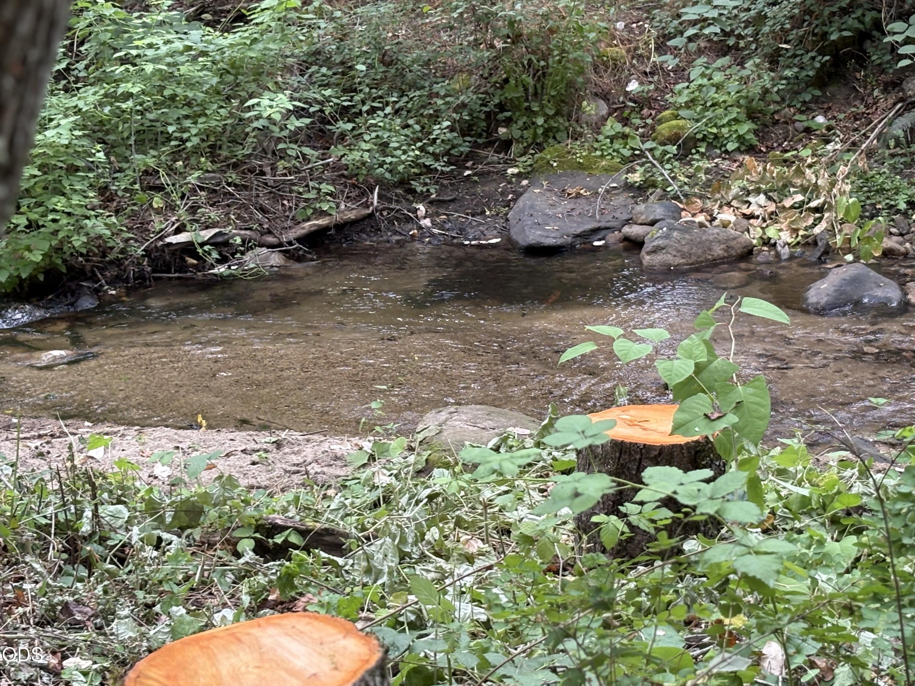 1600 Neil Creek Road Ashland, OR 97520 - Photo 5 of 9