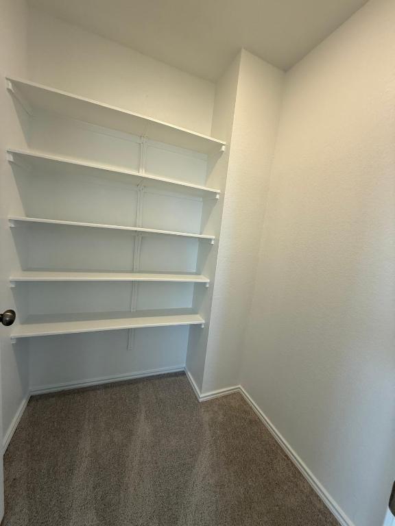 962 Soapstone Pass Maxwell, TX 78656 - Photo 17 of 23 a view of a room with shelf