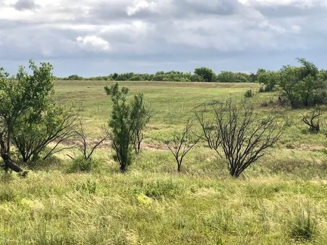 a view of a bunch of trees and bushes