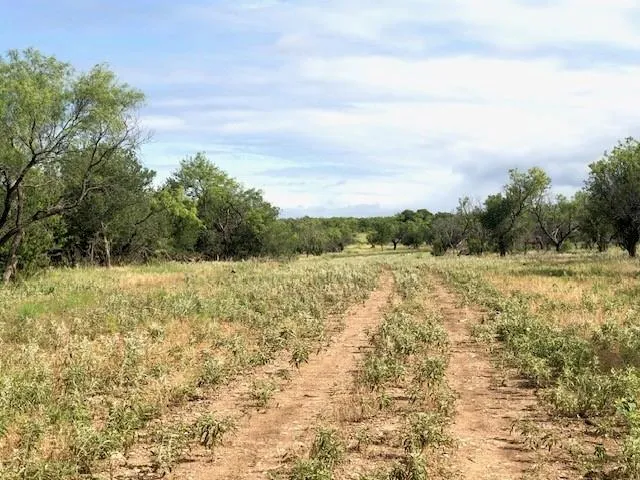 $202,305 | 176 Fm 601, Albany, TX 76430