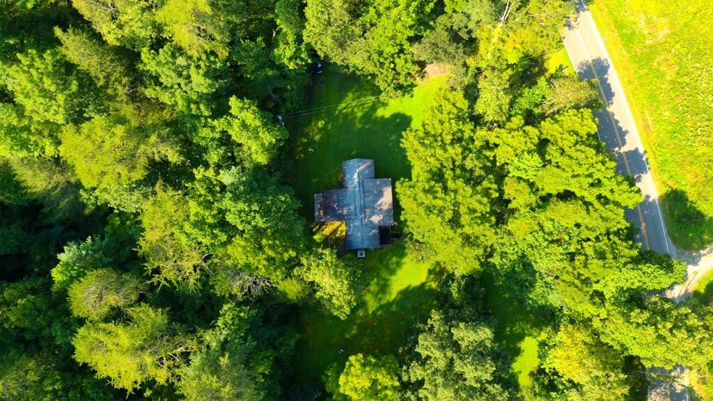 1253 Reliance Road Tellico Plains, TN 37385 - Photo 22 of 40 Gallery Image 22