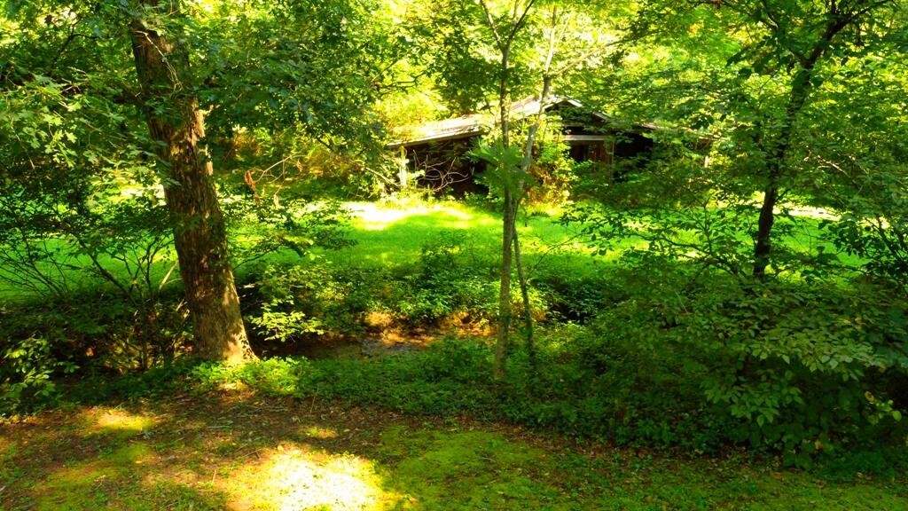 1253 Reliance Road Tellico Plains, TN 37385 - Photo 29 of 40 Gallery Image 29