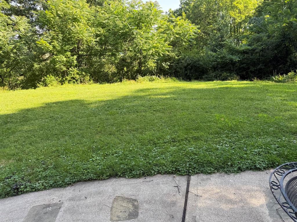 231 Fairview Road Pittsburgh, PA 15238 - Photo 27 of 29 a view of a grassy area with an trees