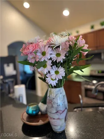 $3,500 | 13042 Sail Away Street, North Fort Myers, FL 33903