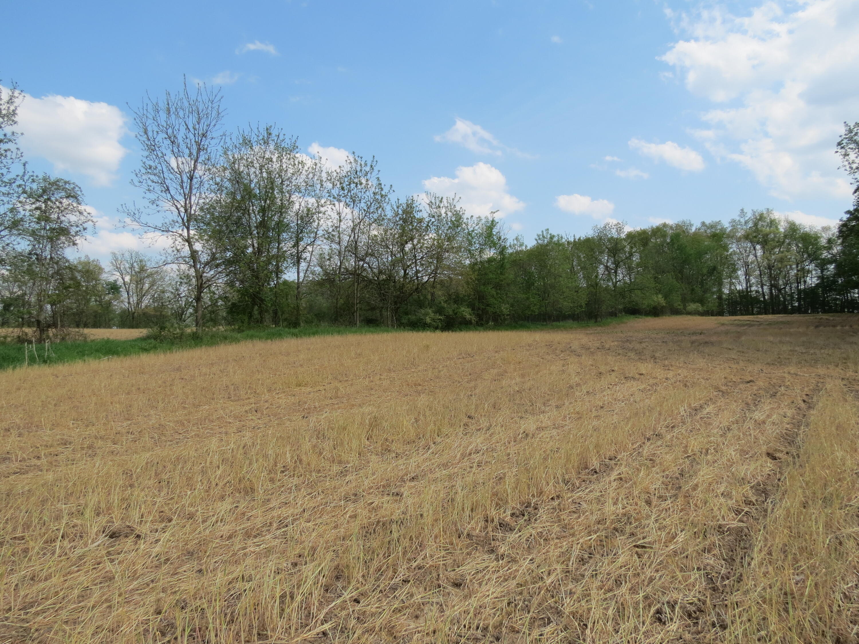 South Stony Lake Road, Unit B Jackson, MI 49201 - Photo 22 of 30 IMG_4263