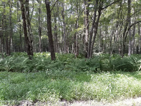 a view of outdoor space and green space
