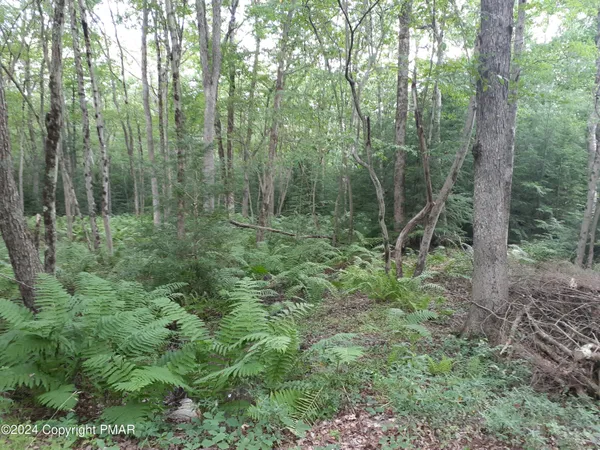 $21,000 | A141 Rosewood Drive, Jim Thorpe, PA 18229