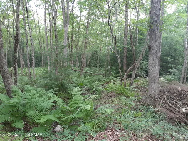 $21,000 | A141 Rosewood Drive, Jim Thorpe, PA 18229