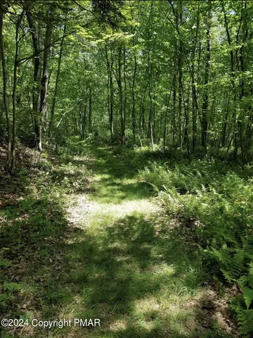 a view of outdoor space and yard