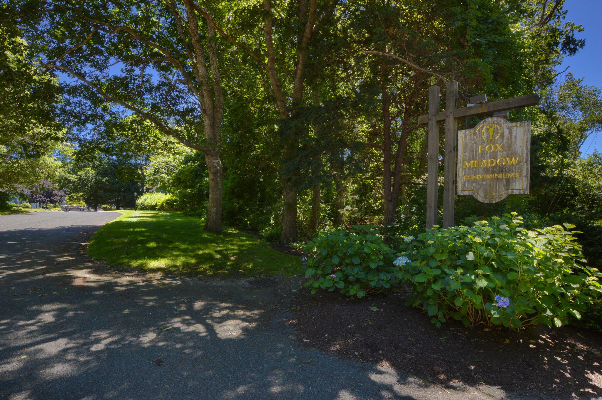 35-web-or-mls-DSC_0597 copy