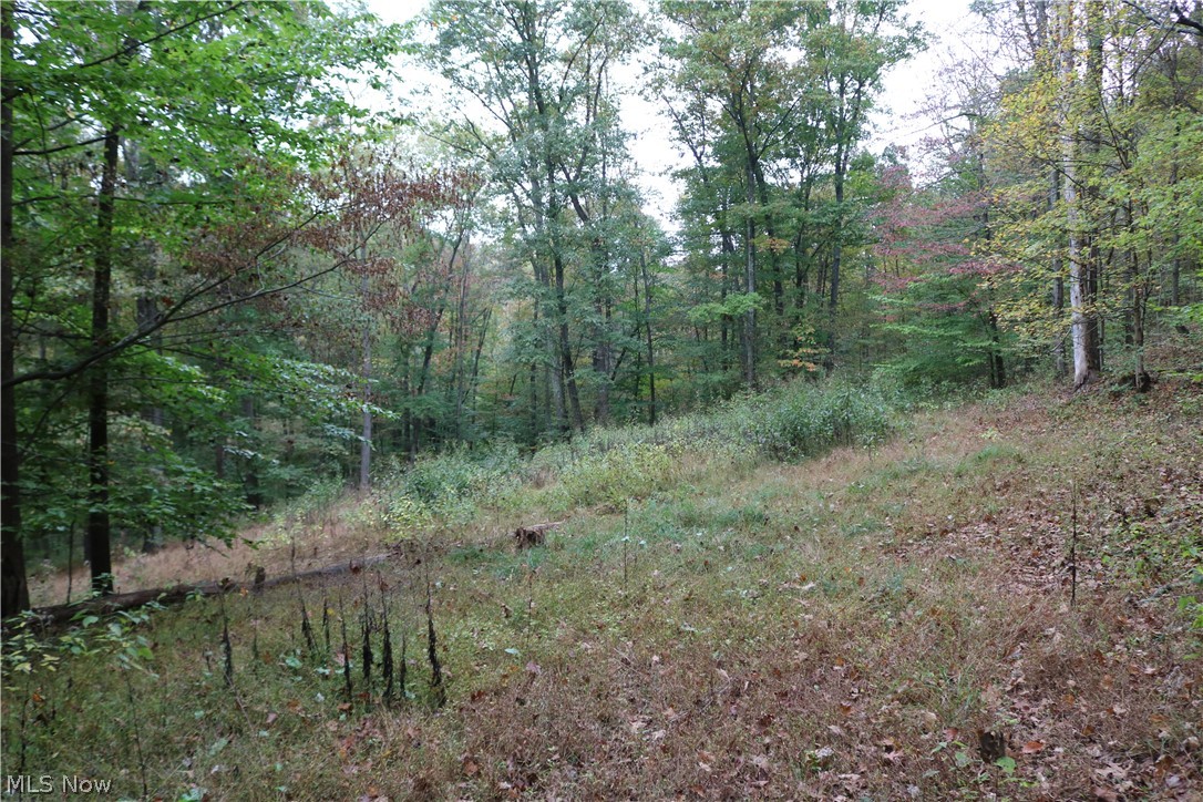 2115 Goss Fork Road Whipple, OH 45788 - Photo 9 of 32 Gallery Image 9